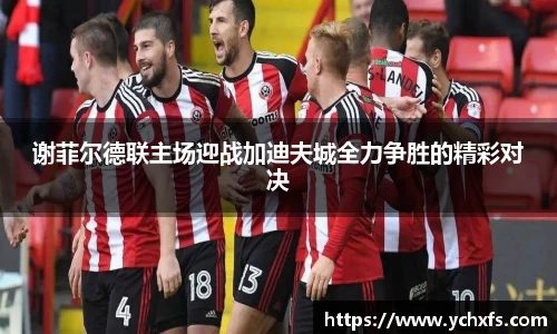 米兰体育平台